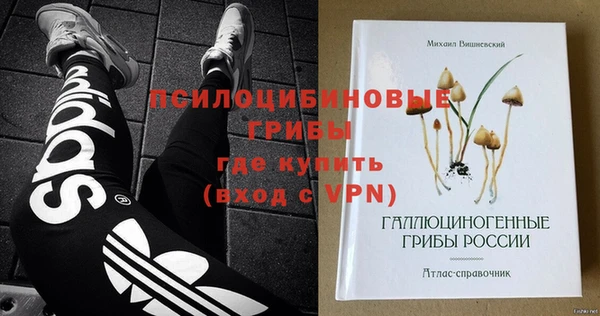 apvp Кинешма