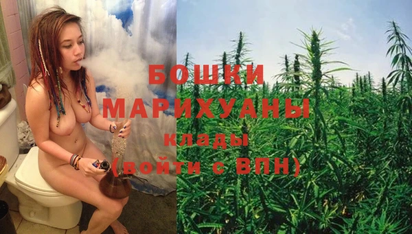 прущие грибы Киреевск