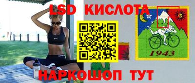 ПСИЛОЦИБИНОВЫЕ ГРИБЫ Можга