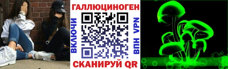 Галлюциногенные грибы GOLDEN TEACHER  Благовещенск 