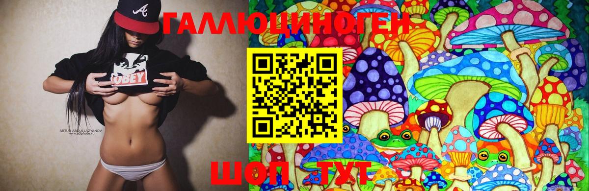 Галлюциногенные грибы прущие грибы Благовещенск